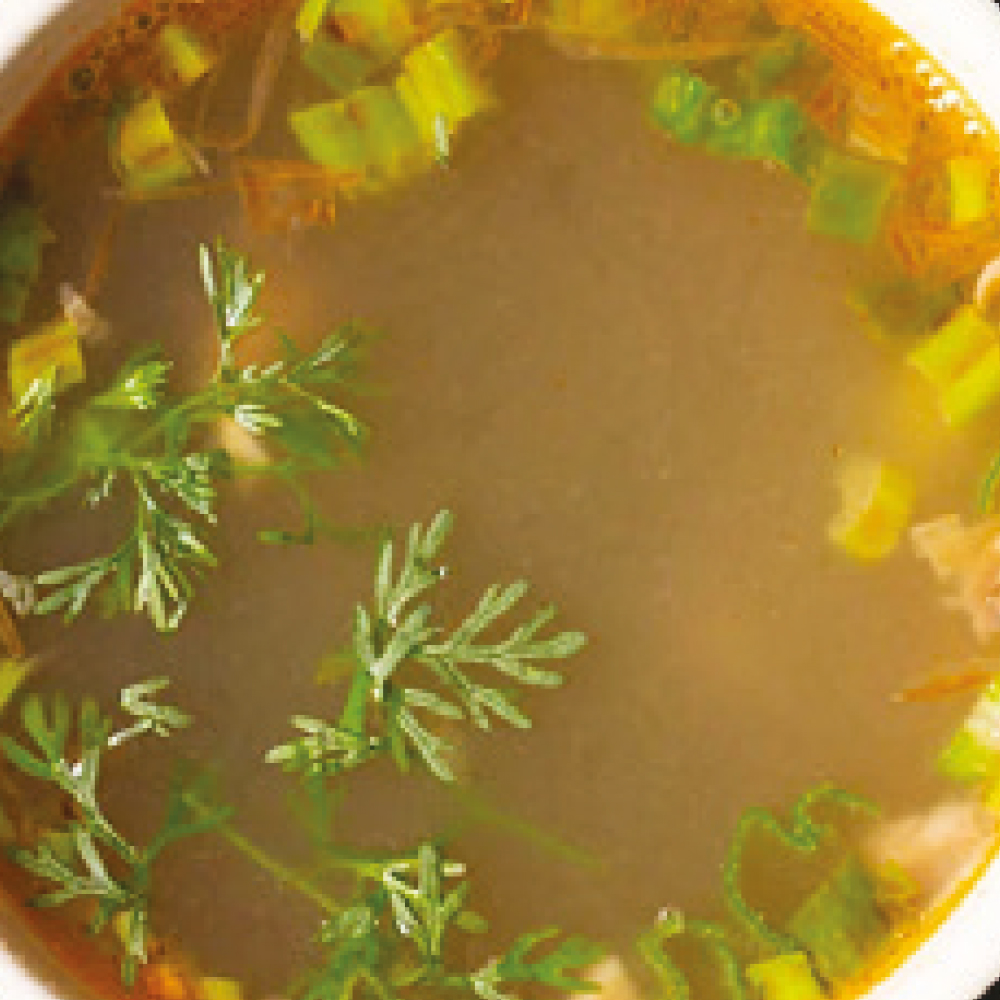 CORIANDER SOUP